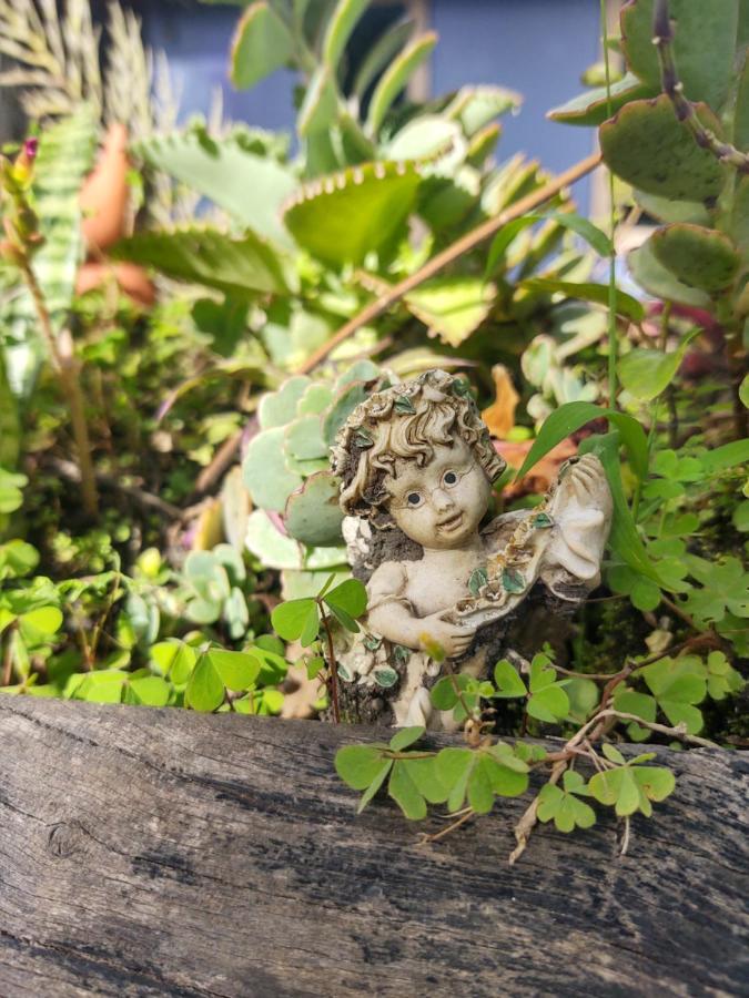 Pousada Linda Flor Acomodação com café da manhã Alto Paraíso de Goiás Exterior foto